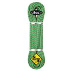  Bear -ru*8.6mm Cobra II Uni core 50m золотой dry 