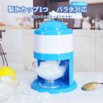 手動式 かき氷器 小型 ポータブルハンド クランクかき氷機 ミニ製氷機 使いやすい 軽い 便利 冷凍フルーツ 水洗える 家庭用 操作簡単 DIY 夏 味付き氷