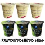 [ большой внутри гора . сельское хозяйство ] большой внутри гора мягкость пудинг & зеленый чай пудинг 100g 1 кейс 6 штук входит 