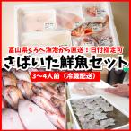海鮮福袋 鮮魚 ボックス 鮮魚セット 下処理 (3人から4人前) 直送 お刺身盛り合わせ 手巻き寿司 ネタ セット 材料