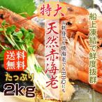 海鮮 赤エビ 天然 特大 赤海老 アルゼンチン産 生食・刺身可 有頭2kg箱(30〜40尾入) お祝事 海鮮BBQ