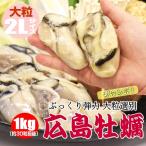 貝 海鮮 牡蠣 大粒 牡蠣むき身 広島