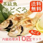 海鮮 のどぐろ 話題の高級魚 1尾80-100g 小サイズ 10匹セット ウロコ・内臓処理済み ノドグロ のど黒 喉黒 赤むつ 赤ムツ あかむつ 海鮮 送料無料