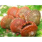 . толщина . тест .. тест . особенность! Исэ город ... ..!......