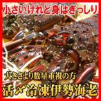  Исэ город море .. думаю . минут еда . хочет person ограничение! Исэ город .. производство Исэ город море ... рефрижератор 1kg ввод (8 хвост ~10 хвост )