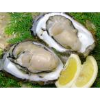 p "губа" li. еда чувство!. толщина .. тест . обязательно довольство сделать! Исэ город .. натуральный скала .. комплект средний размер 10 штук 