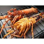  Исэ город море .. - оптимальный.. барбекю для дешевый Исэ город море .500g ввод (2 хвост ~3 хвост )