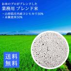 訳あり 米 コシヒカリ ブレンド米 白米10kg 山形県庄内産コシヒカリ50％ 数量限定 業務用