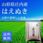 ショッピング米 はえぬき 山形県庄内産 白米24kg 令和5年産 お米 コメ (8キロ×3)箱入