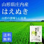 はえぬき 山形県庄内産  精米5ｋg 令和4年産 お米 コメ