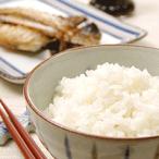 コシヒカリ 山形県産  精白米１０kg(5キロ×2) 送料無料　令和7年産