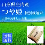 つや姫 山形県庄内産 特別栽培米 白米24ｋｇ 送料無料 令和5年産 (8キロ×3)箱入