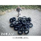  шина : слива Sakura .N(1/150) окраска завершено комплект AC-042-15C