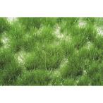 マイクロパック　丈のある草むら-夏の盛り　：ミニネイチャー　素材　ノンスケール　727-22m