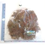 ショッピングドライフラワー オランダドライフラワー(スーパーツリー　Super Trees)　一株パック　：さかつう　キット　ノンスケール　1216