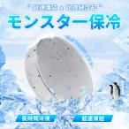 【 超コンパクト！ 】 モンスター保冷剤 保冷剤 ステンレス モンスター 保冷 保冷剤 ステンレス製 保冷剤 最強 アイスパック 304 1個 2個 4個 コンパクト 強力