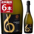 ワイン スパークリングワイン wine メルシャン ワインズ カンティアーモ スプマンテ ブリュット 750ml×6本(1ケース)