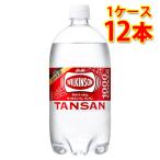 ウィルキンソン WILKINSON 炭酸水 1L PET 12本入ケース販売 送料無料 北海道 沖縄は送料1000円 クール便は800円加算