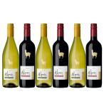 2種限定 サンタ ヘレナ アルパカ 750m