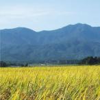 Yahoo! Yahoo!ショッピング(ヤフー ショッピング)令和元年度 新潟佐渡産こしひかり 5Kg