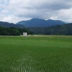 Yahoo! Yahoo!ショッピング(ヤフー ショッピング)平成30年度 山形県産つや姫 5Kg