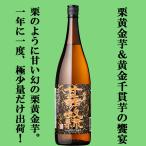 【限定入荷しました！