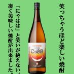 【限定入荷しました！