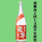 【限定入荷しました！