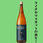 【限定入荷しました！