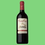 【しっかりした口当たりのお手頃ワイン!】 カステル カンブラス 赤 750ml(3)
