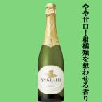 【お手頃価格！女性に