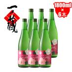 一ノ蔵 ひめぜん 1800ml 6本 1.8L 6本 日本酒 地酒