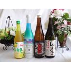 緊急福袋 お酒の4本セット 限定1セット2980円福袋セット（リキュール2本日本酒2本）