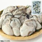  Hiroshima префектура .. остров производство рефрижератор ..2S размер 500g * замороженные продукты *...10kg до такой же отправка *(PRO)