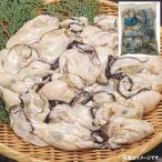  Hiroshima префектура .. производство ..L примерно 1000g * замороженные продукты *...10kg до такой же отправка *(PRO)