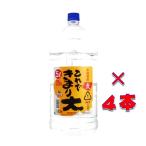 (送料無料)これできまり大 25° 本格むぎ焼酎 5000ml 1ケース(4本入り) ペットボトル 鹿児島県 若松酒造