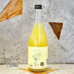 楯野川 たてのがわ 子宝 こだから 山形ラフランス 720ml