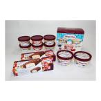 アイガー 冷凍 ハーゲンダッツ スペシャルセット メーカー直送