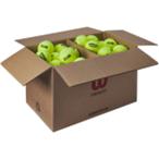  Wilson WR8201501001 TRINITI CLUB теннис мяч 1 коробка 72 лампочка ввод желтый бейсбол теннис мяч 