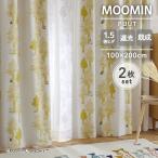 2���Z�b�g �X�~�m�G ���[�~�� �Ռ��J�[�e�� �v�[�g 100�~200cm �C�G���[