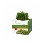 eimklieitsueim собака . кошка . нравится .. культивирование комплект кошка для капот 