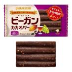 UHA味覚糖 ビーガンカカオバー ラムレーズン