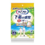 ユニチャーム ライフリー 超うす型下着感覚パンツ 2回 L2枚