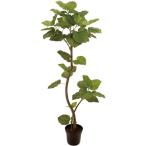 東京堂 FG005229 造花 ウンベラータ スパイラル 5FGREEN メーカー直送