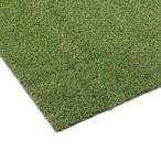 アイリスオーヤマ BPB-3025 防炎防草人工芝 (2m×5m) メーカー直送