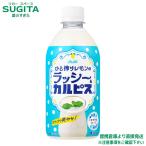ひと搾りレモンのラッシー＆カルピス 480ml 24本×1ケース 全24本 提携倉庫