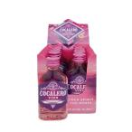 コカレロ ヴィーダ ２�