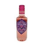 コカレロ ヴィーダ ２�