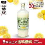 黒松仙醸 どぶとゆず 600ml リキュール 長野県 にごり 日本酒 高遠 5度 純米どぶろく 濁酒 ドブロク どぶろく