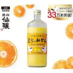 【数量限定】黒松仙醸 どぶとみかん...